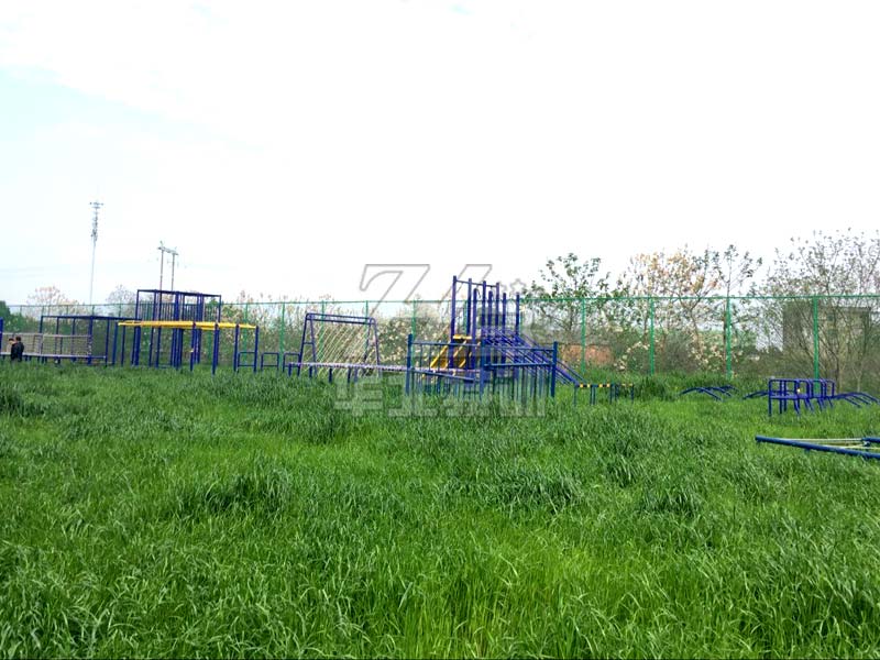 阳光组合